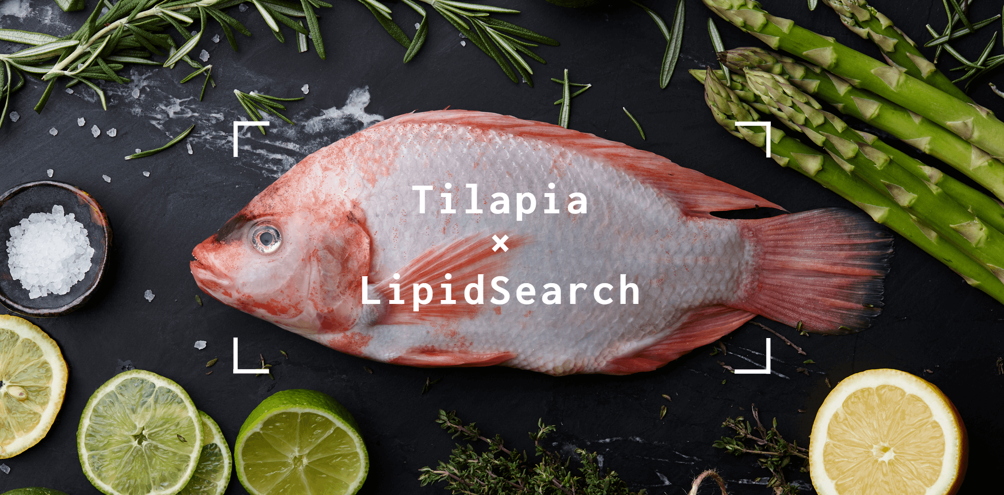 TilapiaとLipidSearch