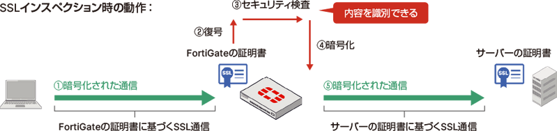 FortiGate – SSLインスペクション