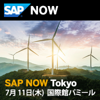 SAP NOW