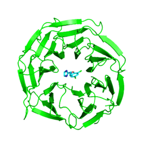 構造モデリング