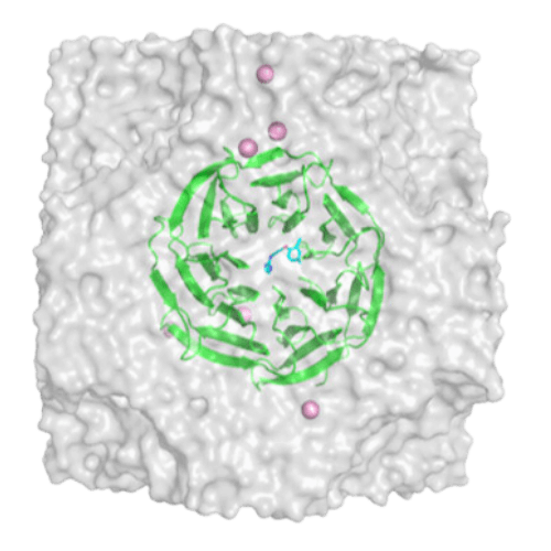 系のセットアップ