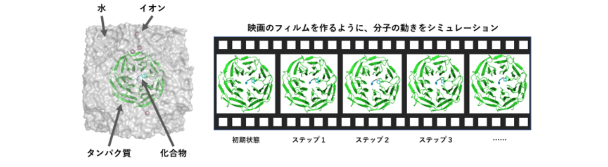 分子動力学計算コンサルティング