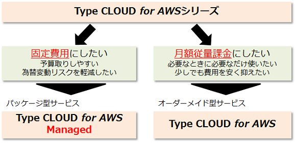 MKIクラウド Type CLOUD for AWS