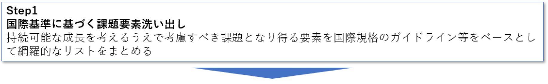 step1 国際基準に基づく課題要素洗い出し