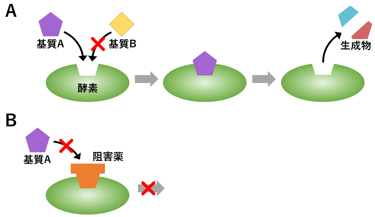 アロステリック 部位