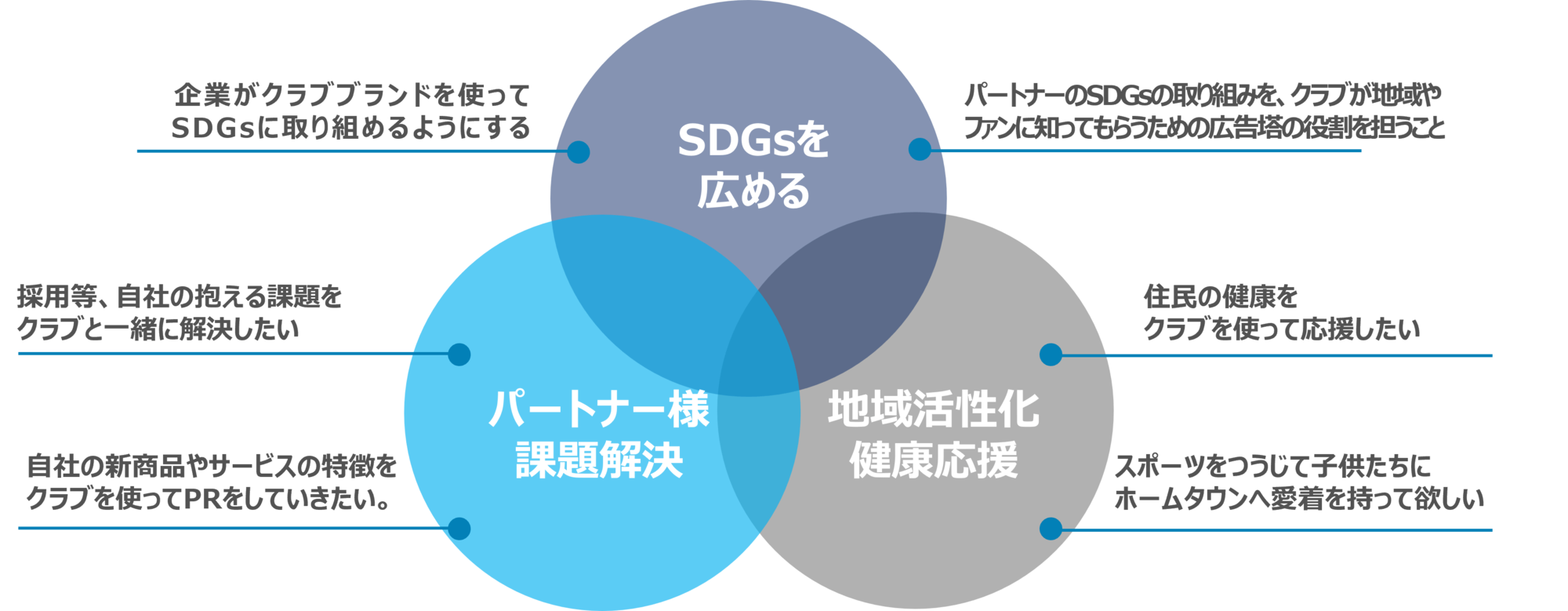 スポーツチーム向けファンエンゲージメント支援 MKI （三井情報株式会社）
