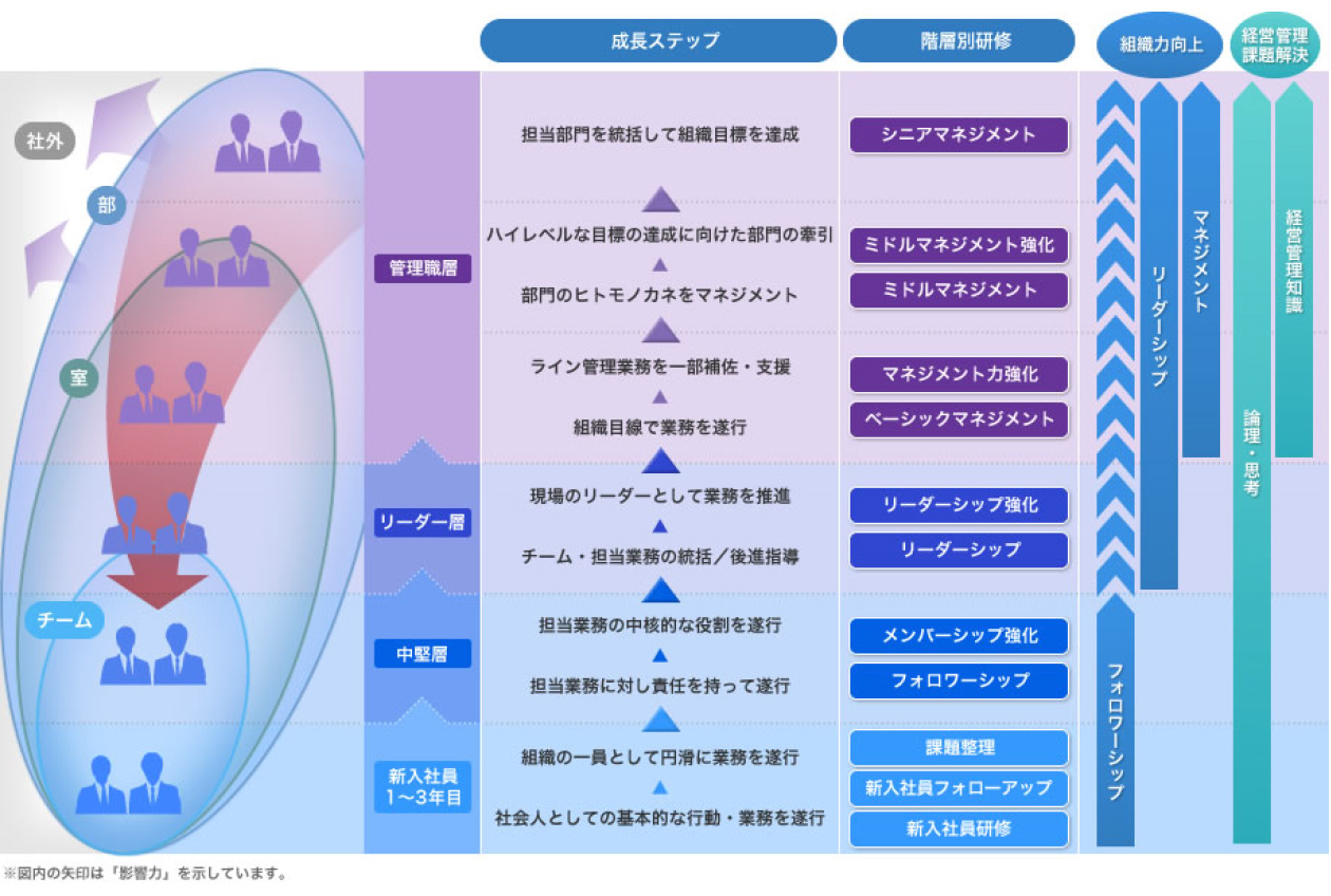 MKIの働く環境・制度 育成体系図