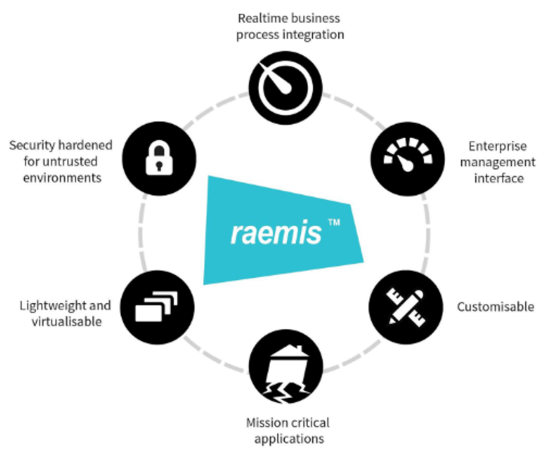 Druid Software – Raemis Private Core Network